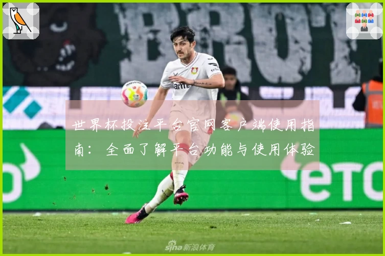 世界杯投注平台官网客户端使用指南：全面了解平台功能与使用体验