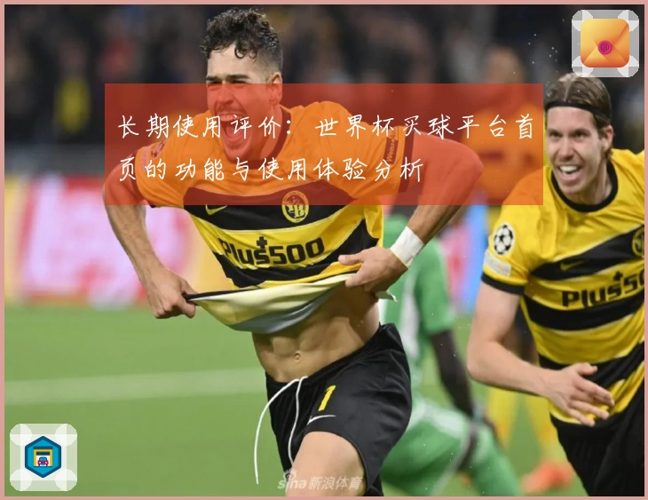 长期使用评价：世界杯买球平台首页的功能与使用体验分析