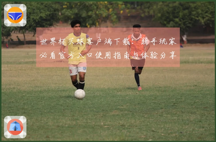 世界杯买球客户端下载：新手玩家必看官方入口使用指南与体验分享