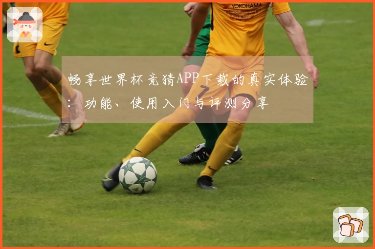 畅享世界杯竞猜APP下载的真实体验：功能、使用入门与评测分享